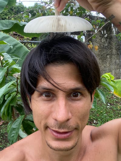 A shirtless individual with dark hair is holding a large, white mushroom above their head. The mushroom's gills are clearly visible. The individual's face is in the foreground, with brown eyes and a slight smile. They are outdoors, with lush green foliage, including large banana leaves, surrounding them. In the background, there is a stone wall and some trees. The overall impression is that of a casual, self-portrait taken in a natural environment. There is no identifiable indication of the specific location within Los Velásquez, Venezuela.