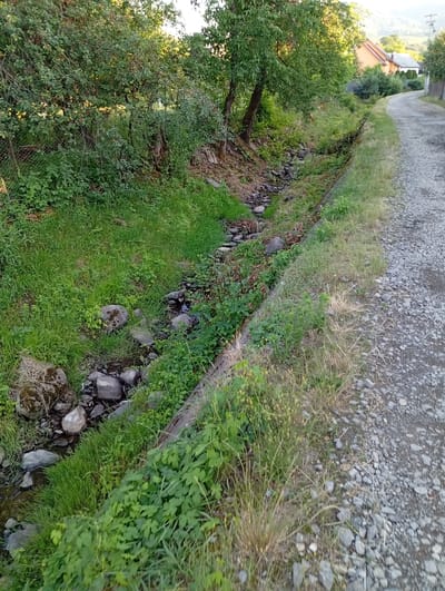 A rural scene in Veliatyno, Ukraine, features a narrow, rocky stream running alongside a gravel road. The stream bed is filled with various sized stones and a small amount of water flows through it. Lush green grass and various plants, including some with large leaves, grow along the banks of the stream and on the edge of the road. Several trees are present, with one particularly large tree to the left of the frame casting shadows. In the background, a residential building with an orange roof is visible, situated on a hillside, suggesting a mountainous or hilly terrain. The road itself is composed of small grey stones and appears to be slightly elevated from the stream. The lighting suggests it is daytime, likely late afternoon or early evening, given the warm tones and shadows. No people or animals are visible in the image. The overall impression is one of a quiet, natural, and somewhat untamed rural landscape.