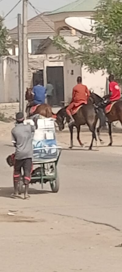 The scene is set on a light-colored, possibly unpaved street in Fagge D2, Nigeria, under daylight conditions. In the foreground, a male, wearing a grey t-shirt, dark capri-style pants with red stripes, and sandals, is pushing a three-wheeled handcart. The cart, primarily green, carries a white rectangular container with blue graphics. Behind the cart and slightly to the right, three males are mounted on horses, all facing away from the viewer and moving towards the right side of the frame. The leftmost rider wears a blue shirt on a brown horse, partially obscured. The central rider wears an orange-red shirt on a dark brown horse. The rightmost rider wears a red shirt with a white circular emblem on a brown horse. In the background, several worn, light-colored buildings with dark doorways are visible, one featuring a light green roof and a prominent white satellite dish. Green foliage from trees is present on both sides of the street and near the buildings. A utility pole stands vertically on the left side of the frame.