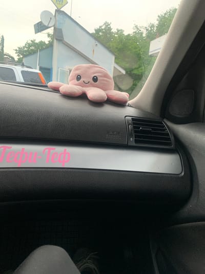 A pink plush octopus toy is perched on the dashboard of a car. A pink sticker with the text "Теффи-Теф" is affixed to a silver trim piece below the octopus. The car's interior is visible, including an air vent and a speaker. Outside the car, a gas station structure and trees are visible through the windshield, suggesting an urban or suburban environment. The location is identified as Madan, Bulgaria.