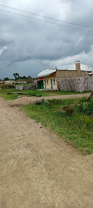 This image depicts a scene in the city of Heni Village, Kenya, under an overcast sky with dark grey clouds. The foreground consists of an unpaved, light-brown dirt road, flanked by patches of green grass and some dry vegetation on both sides. In the midground, a single-story building constructed from light-colored masonry, possibly painted a faded yellow-beige, stands prominent. Its front facade features a white, corrugated roof extension acting as an awning, two green double doors, and two vertically divided windows, all appearing closed. The building's right side is built with light-brown cinder blocks, and a brick chimney with a metal cap is visible on its roof. To the immediate right of this building, a fence or barrier composed of vertically arranged wooden planks or branches is present. Further in the background, to the left of the main building, additional single-story structures are partially visible amidst dense green foliage. Three parallel dark power lines are visible spanning across the upper portion of the frame against the cloudy sky. No individuals or vehicles are present in the scene.