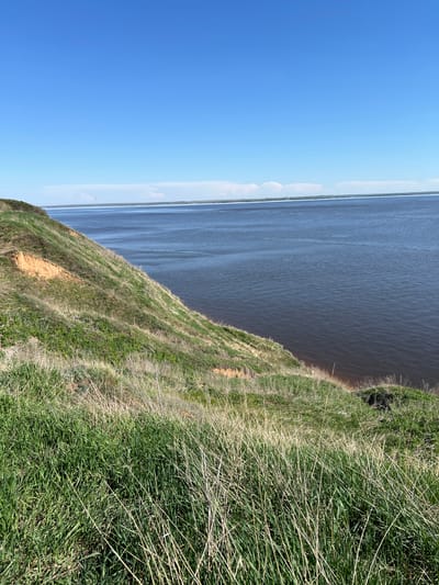 The image presents a view from a grassy embankment overlooking a body of water under a clear blue sky. The embankment descends towards the water's edge, revealing patches of exposed soil. The water appears dark and wide, possibly a river or lake, stretching to the horizon. The location is unspecified but presumed to be in Шуран, Russia.
