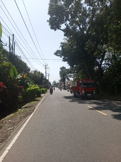 The scene depicts a sunny daytime view of a paved road in Beteng_Pangkhar_Somthrang, Bhutan. An asphalt road, bordered on the left by a solid white edge line and marked by a faded yellow dashed center line further right, extends linearly into the background. A red Isuzu medium-duty truck, bearing the text "PT. PELITA LOKAL JAYA" on its side, is positioned on the right side of the road. Its front license plate is partially visible, displaying characters beginning with "DK". Multiple motorcycles, each with a single rider, are observed traveling away from the viewer in the distance. Dense green foliage, including tall trees with full canopies and lower bushes, lines both sides of the road. Some red-leafed plants are visible on the immediate left. Utility poles with numerous overhead power lines are present along the left side, receding into the background. The sky above is clear and bright blue, casting shadows from the trees onto the right side of the road. Distant buildings are faintly visible on the right.