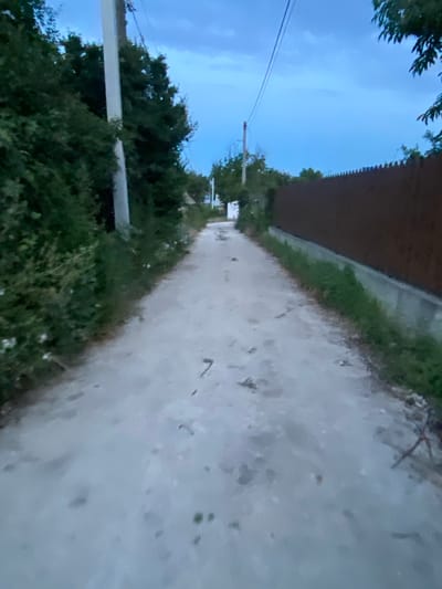 The image depicts a dirt road in Horodca, Moldova, at dusk. The road is narrow and appears to be unpaved, with loose dirt and gravel. On the left side of the road, there is dense foliage and trees. A white utility pole stands prominently amidst the greenery. On the right side of the road, a tall, dark brown fence runs along its length, separating the road from what is likely a property. The sky is a deep blue, indicating the transition from day to night, with some clouds visible. The lighting is dim, casting soft shadows. There are no people visible in the image. The scene suggests a rural or semi-rural setting.