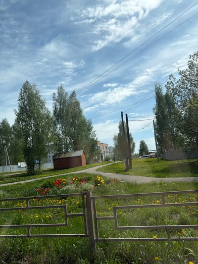 The image presents a scene in what appears to be a residential area in Италмас, Russia. The view is captured from ground level looking towards a street with a sidewalk. On the right, a weathered metal fence runs along a patch of grass dotted with yellow and a few red flowers. The ground is covered in a dense mix of grass and weeds.

A gray concrete sidewalk stretches along the right edge of the frame, dividing the grass and fence from the structures on the left. A small, brown, shed-like structure is visible, with taller residential buildings in the background.

Several trees line the street, their foliage obscuring some of the buildings and creating a sense of depth. Power lines crisscross the sky above the trees. The sky is a pale blue with scattered, wispy clouds.

The scene is quiet and typical of a residential area, with no people visible in the frame. The image conveys a sense of a peaceful, ordinary day.