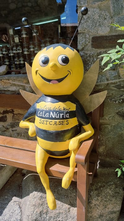 This is a close-up, vertical shot of a yellow and black bee statue, likely a mascot or sign for a local business, set against a stone wall background and a wooden structure. The bee is depicted in a cartoonish style with large, black, circular eyes, a wide open mouth with a pink tongue showing, and two antennae topped with black spheres. It has translucent, light brown wings. The bee's body is segmented with black and yellow stripes.

Visible text on the bee's body reads: "La Casa de la Mel", "CaLa Núria", and "SETCASES". The presence of "SETCASES" in the text strongly suggests the location is Setcases, Spain. The lighting indicates it is daytime, with strong shadows cast on the wooden structure and the ground, suggesting bright sunlight. The overall scene appears to be outdoors, possibly in a tourist area given the decorative nature of the statue and the visible jars behind it, which appear to be honey or jam jars. The atmosphere is cheerful and inviting, conveyed by the bee's smiling expression.