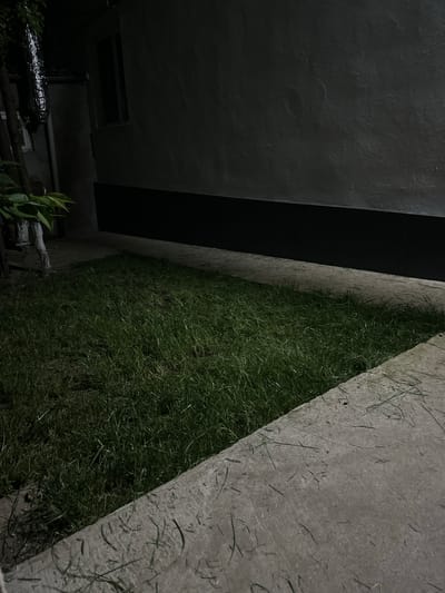 The image depicts an outdoor scene, possibly at night, given the low light conditions and dark shadows. The primary subjects are a patch of lush green grass and two concrete or stone structures. One structure is a dark, monolithic block that takes up a significant portion of the left side of the frame, casting a deep shadow. Adjacent to the grass is another concrete surface, appearing lighter in color and textured with scattered grass clippings or debris. The grass itself appears dense and well-maintained, growing between the two structures, creating a narrow, almost wedge-shaped area of green.
The setting seems to be an urban or semi-urban environment, perhaps a courtyard, alleyway, or the side of a building, given the presence of artificial materials like concrete and what appears to be a metallic structure or piping visible in the lower left corner, partially covered by foliage. A few green leaves from a plant are visible in the bottom left, suggesting some form of vegetation.
There is no visible text in the image. The time of day is likely evening or night due to the lack of distinct shadows and the overall darkness. The weather is not discernible from the image. The overall mood is somewhat stark and subdued, with a strong emphasis on the contrast between the natural element of grass and the man-made structures. The composition is angled, with the grass filling the diagonal space between the two dominant concrete elements. The scene appears still and devoid of any human activity.