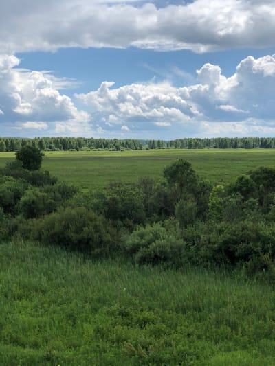 The image shows a wide, verdant landscape under a cloudy sky. The foreground is dominated by lush green grass, with a dense growth of bushes and trees creating a textured midground. Beyond this, a large, flat green field stretches out, bordered by a dense line of trees in the distance. The sky above is filled with a mix of white, puffy clouds and patches of blue sky. There are no people or animals visible in the scene. The location is described as Nadezhda, Russia.