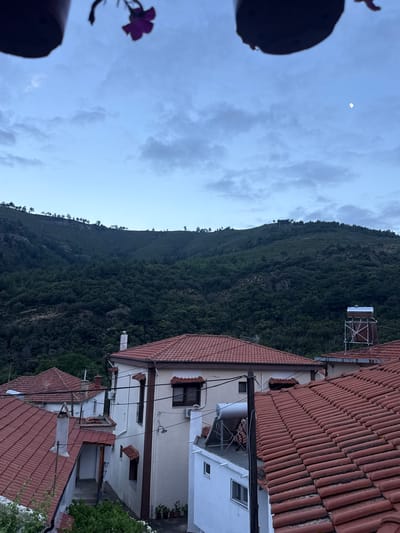 This media file depicts a scenic view of a mountainous landscape in Maries, Greece. The foreground features the terracotta-tiled roofs of several houses, some with white facades. One house has a visible water heater on its roof. To the left, a dark silhouette of a planter holds a single purple flower, adding a touch of nature to the man-made structures.
The mid-ground is dominated by a lush, densely forested mountain slope, indicating a natural, undeveloped area. The trees create a textured, dark green carpet up the incline. Above the mountain, the sky is a pale blue, dotted with soft, wispy clouds. A small, bright crescent moon is visible high in the sky.
In the distance, atop a structure on the mountainside, a water tank is visible. The overall scene suggests a tranquil evening setting, possibly dusk, given the soft light and the presence of the moon. There is no visible text within the image. The image conveys a sense of peace and natural beauty, with the human settlement nestled harmoniously against the imposing mountain.