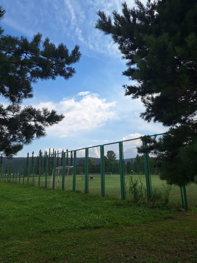An outdoor, eye-level, wide-angle shot depicts a green soccer field enclosed by a tall, green metal fence. In the foreground, lush green grass is dotted with small white flowers. The soccer field is visible beyond the fence, with a soccer goal set up on the left side. Trees line the background, and a forested mountain range extends across the horizon under a bright blue sky with scattered white clouds. The image is framed by dark green pine branches in the top left and right corners.