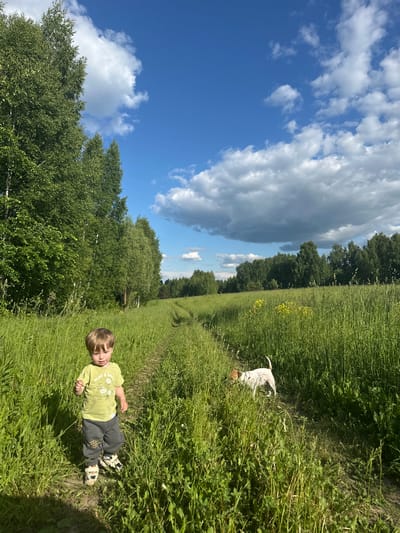 The image depicts a rural outdoor scene in Пермяки, Russia, characterized by a vibrant green landscape under a bright blue sky with scattered white cumulus clouds. A narrow dirt path, slightly worn, cuts through a field of tall, lush green grass, extending from the foreground into the distance and curving towards the right. On the left side of the path, a dense line of deciduous trees, primarily birches with full green foliage, borders the field and extends upwards beyond the frame. A further treeline is visible in the background, demarcating the horizon.
In the lower-left foreground, a young child, likely a toddler, with short blonde hair, stands on the dirt path. The child wears a light green short-sleeved t-shirt with a graphic design and dark gray sweatpants with lighter patches on the knees. Light-colored sneakers with dark accents are on their feet. The child is facing slightly forward and to the right, looking downwards, and holds a small, thin object in their right hand. Further along the path, to the right of the child and facing away from the viewer, a small, white dog with brown markings, characteristic of a Jack Russell Terrier, walks amidst the tall grass. Its tail is visible and curved upwards. Yellow wildflowers are interspersed within the tall grass to the right of the path in the mid-ground. The scene is brightly lit by natural sunlight, indicating daytime.