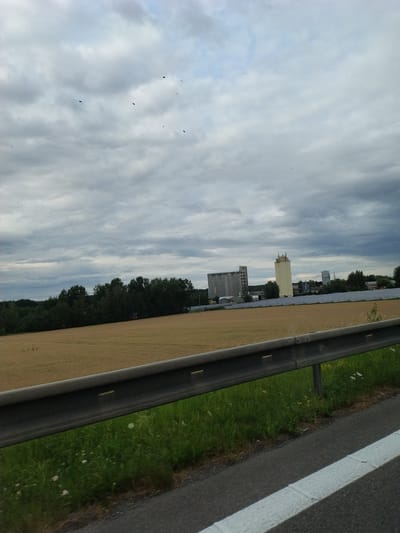 The image captures a cloudy, overcast day in the vicinity of Tábor, Czechia. The foreground features a metal guardrail along a road, with a strip of green grass and some wildflowers on the side. Beyond the grass is a field of golden crops, likely wheat or barley, that stretches towards a dense line of trees forming the horizon. In the background, several industrial buildings are visible, including a tall, light-colored silo and a grey, multi-story structure. The sky is filled with a multitude of small dark birds, appearing as specks against the grey clouds. The overall impression is one of an industrial area on the outskirts of a rural landscape under a subdued sky.