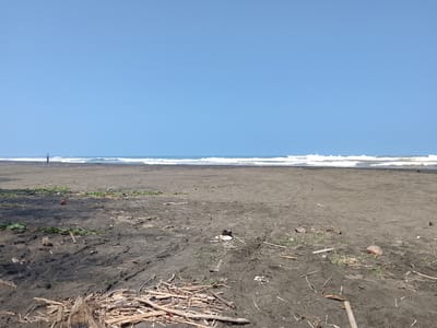 The image depicts a vast, empty beach under a clear blue sky. The sand is dark and appears to be volcanic or very fine-grained, with scattered debris like driftwood, leaves, and some unidentifiable objects. In the distance, the ocean stretches to the horizon, with gentle waves breaking on the shore. A lone figure, appearing to be a person, is visible standing on the beach near the water's edge. The scene suggests a natural, undeveloped coastal area, likely a quiet, less-trafficked section of the beach. The location is identified as the Adipala beach, in Adipala, Central Java, Indonesia.