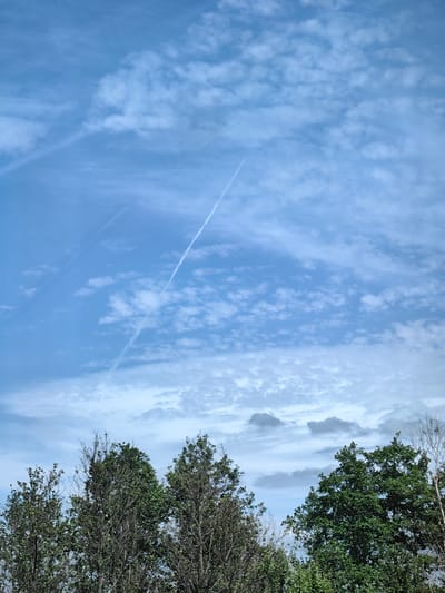 The image displays a daytime sky over the city of Негарэльскі сельскі Савет, Belarus, with the tops of deciduous trees visible along the bottom edge. The sky transitions from a lighter, clearer blue at the top to a slightly greyer, more overcast blue towards the bottom, just above the tree line. Scattered across the upper sky are numerous white, fluffy cumulus clouds of varying sizes. Lower in the sky, more stratified and lumpy grey clouds are present, appearing denser. Multiple white contrails traverse the sky; a prominent, long, straight contrail extends diagonally from the lower right towards the upper left, intersecting with another, fainter contrail in the upper left quadrant. Several tiny, dark bird-like specks are faintly visible flying in the mid-ground sky. The top portions of several trees, predominantly green with some darker, bare or sparsely foliated branches, form the lower segment of the scene, obscuring the horizon. No people or specific human-made objects other than the implied aircraft (via contrails) are discernible.