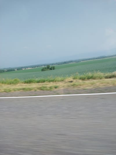 The image depicts a landscape scene, oriented vertically. On the left side, a hazy, light blue sky dominates, with some indistinct cloud-like formations. A thin line of trees and buildings is visible along the horizon, suggesting a settlement bordering a large expanse of cultivated land. This cultivated area, appearing as a vast, green field, stretches horizontally across the image. To the right of the field, a strip of dry, yellowed grass and vegetation runs alongside a paved road. The road itself takes up the rightmost portion of the image and is blurred due to motion, indicating the photograph was likely taken from a moving vehicle. A white line marks the edge of the road. The overall impression is of a rural or agricultural setting in Russia, possibly during the daytime given the bright sky, though the haziness might suggest a warm or humid atmosphere. No people or distinct objects are clearly discernible.
