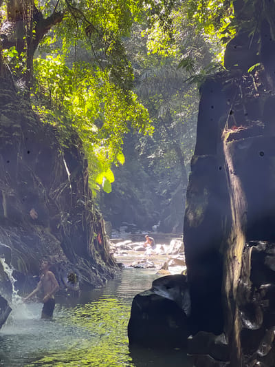 A vibrant, vertically oriented image captures a dramatic natural gorge or canyon, likely in a tropical environment. Towering, dark, rugged rock formations define the scene, with abundant, lush green foliage, trees, and hanging roots clinging to the steep walls and canopy overhead. Bright, dappled sunlight filters through gaps, illuminating the vibrant greenery and creating shafts of light that pierce the shadowed areas.
In the mid-ground and background, water flows through the gorge, forming a natural pool or river. Several people are visible in and around the water. In the foreground-right, a shirtless man in dark shorts is captured leaning into splashing water, possibly from a small cascade or waterfall, appearing to be enjoying the cool water. Further back, in a brighter section of the gorge, another individual and possibly more figures are seen near a rock formation, interacting with the flowing water.
The scene depicts a serene yet adventurous atmosphere, with individuals enjoying the natural beauty of the secluded waterway. The strong contrast between the sunlit areas and the deep shadows of the rock faces highlights the depth and enclosed nature of the location. No discernible text is visible in the image.