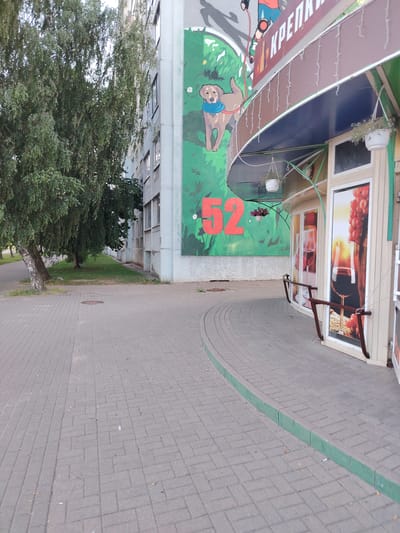 The image depicts a storefront on a sidewalk in Salihorsk, Belarus. A building with a mural featuring a dog and the number "52" is visible. The storefront itself has large glass windows showcasing images of wine glasses and grapes. The sidewalk is paved with gray interlocking bricks, and a green border runs along the edge of the storefront. Trees line the left side of the image, and the overall scene suggests an urban environment. There are no people visible in the image. The lighting indicates it is daytime.