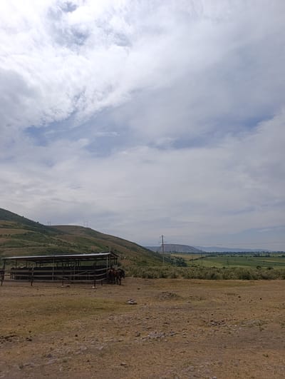 A rural scene unfolds under a cloudy sky in Kegeti, Kyrgyzstan. In the foreground, dry, uneven ground is scattered with rocks and sparse dry grass. A wooden corral with a metal roof stands to the left, housing at least four brown horses. The corral is surrounded by a wooden fence. Beyond the corral, the landscape rises into rolling hills covered in dry vegetation and patches of green scrub. A few power lines and transmission towers are visible on the hills. In the distance, a valley stretches out with green fields and trees, leading to a mountain range on the horizon. The overall impression is one of a rustic, agricultural setting.