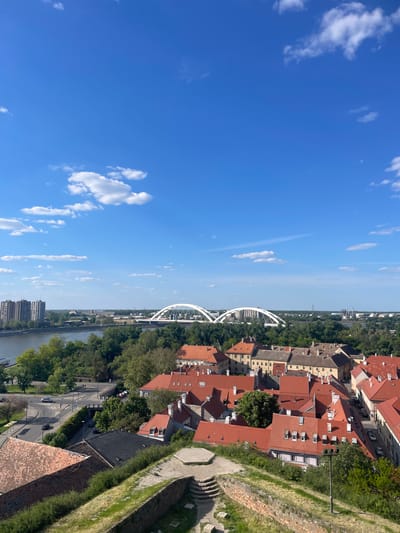 This high-angle, panoramic view captures a cityscape and river scene under a bright, clear blue sky dotted with scattered white clouds. The image, taken on a sunny day, looks out over a sprawling area featuring a mix of urban development and natural elements.
A prominent feature is a wide, light-colored arch bridge, likely a modern design, spanning a significant river that flows through the middle ground. Along the riverbanks and extending inland, a dense collection of buildings with characteristic reddish-orange tiled roofs dominates the landscape, indicative of traditional European architecture. Many of these structures exhibit dormer windows on their roofs. Lush green trees are abundant, lining the river and interspersed among the buildings, especially on the banks of the river.
In the foreground, on the right side of the image, the ancient stone walls and worn steps of what appears to be a fortress or a large defensive structure are visible, partially covered with green grass and vegetation. Roads wind through the city, with a few vehicles visible, suggesting ongoing daily activity. A lamppost with traffic lights stands among the buildings. On the far side of the river, the landscape stretches into the distance, revealing further urban development and some industrial-looking structures under a slightly hazy sky.
The scene depicts a peaceful, sunlit day with no specific event or distinct human activity highlighted. No visible text is present in the image. The combination of the river, distinctive bridge, and fortress elements aligns with the location context of Petrovaradin, Serbia, specifically views from the Petrovaradin Fortress over the Danube River.