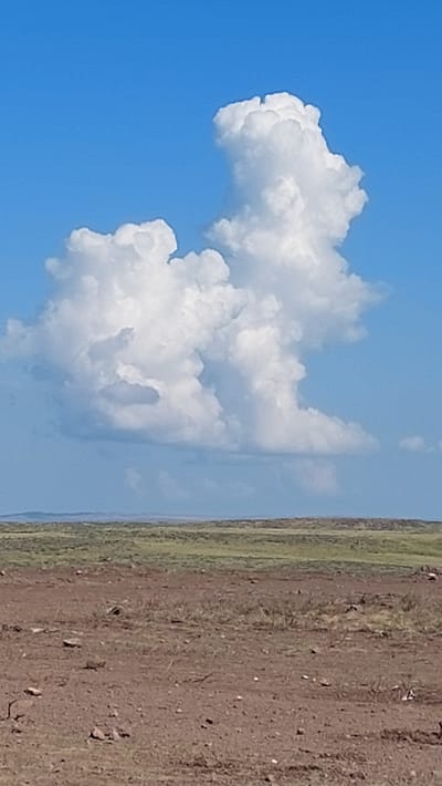A cumulonimbus cloud formation, resembling a dog, hovers in a bright blue sky above a vast, barren plain in Saran, Kazakhstan. The cloud's distinct shape features a head, body, and tail, illuminated by the sun. The landscape below is a mix of dry, reddish-brown earth and sparse, dry grass, suggesting a semi-arid or steppe environment. In the distance, rolling hills are visible under a hazy sky. The scene captures a moment of natural artistry in the clouds against a rugged, open terrain.