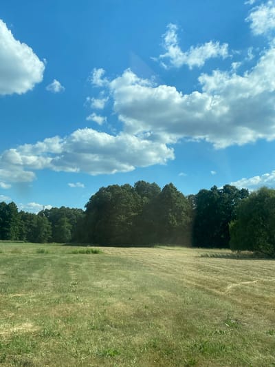 The image depicts a rural landscape under a bright blue sky dotted with white clouds. A large field, partially mowed, dominates the foreground, with rows of cut grass visible. In the background, a dense line of trees forms a dark green barrier. The scene is natural and unpopulated. The specific location in Barycz, Poland cannot be determined from the image alone.