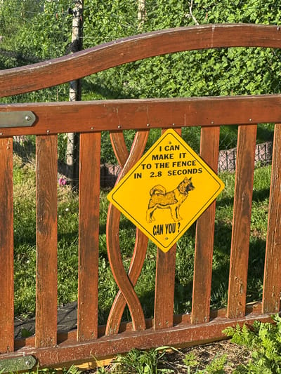 A yellow diamond-shaped sign with a black border is affixed to a rustic wooden fence in Le Sentier, Switzerland. The sign features a black silhouette of a dog, possibly an Akita or similar breed, in profile on the right side. Text above the dog reads, "I CAN MAKE IT TO THE FENCE IN 2.8 SECONDS". Below the dog, the text asks, "CAN YOU?". The fence is constructed from vertical wooden planks with some decorative curved elements between them. The background consists of lush green grass and foliage, with a chain-link fence visible behind the wooden fence, suggesting a backyard or park setting. The lighting indicates it is daytime, with sunlight casting shadows on the fence. There are no people visible in the image.