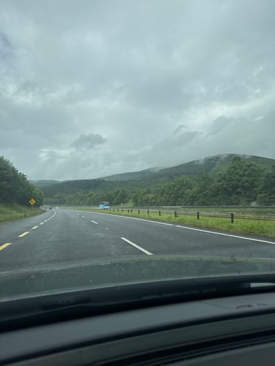 The image captures a view from inside a vehicle looking out onto a wet highway during a cloudy day. The road is dark and appears to have recently experienced rain, with reflections visible on its surface. Lane markings, both solid white and dashed yellow lines, delineate the roadway. A metal guardrail runs alongside the highway, separating it from a lush green landscape.
The landscape features a steep, tree-covered mountain that rises dramatically on the left side of the road. The lower slopes are densely wooded, while the upper portions are shrouded in mist or low-hanging clouds, suggesting a damp and possibly cool climate. The sky is overcast with thick, gray clouds, indicating overcast weather.
In the distance, a small blue building or structure is visible near the base of the mountain, and a few other vehicles can be seen on the highway. There is a yellow road sign with a silhouette of an animal, possibly indicating a warning for wildlife crossing. The overall mood is somewhat somber and serene, typical of a misty, rainy day in a scenic, mountainous region. The image is oriented vertically.
