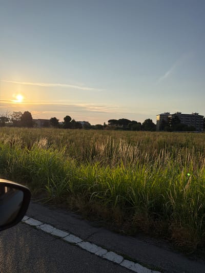 The image captures a rural or semi-rural landscape, possibly on the outskirts of Novara, Italy, during sunset. A bright sun, partially obscured by thin clouds, is visible in the upper left quadrant, casting a warm, golden light across the scene. The sky is a soft blue, transitioning to a pale yellow near the horizon, with faint cloud streaks.
In the foreground, the edge of a paved road with a white line marker is visible, along with the corner of a car's side mirror. The majority of the image is dominated by a field of tall, dry grass and reeds, illuminated by the setting sun, which creates a shimmering effect. Scattered trees are interspersed within the field and along the horizon.
In the mid-ground and background, low-rise buildings and a multi-story apartment building with balconies are visible, suggesting the presence of a settlement. The architectural style of the buildings appears consistent with Italian design. The overall atmosphere is tranquil and evokes a sense of late afternoon or early evening in the Italian countryside. No people are discernible in the image.