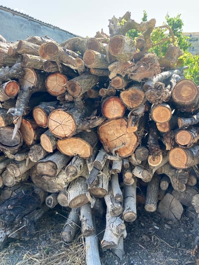 A large pile of cut logs is stacked outdoors. The logs vary in size and diameter, with visible rings and bark texture. Some logs are rough and gnarled, while others are smoothly cut at the ends, revealing their cross-sections. The pile is dense and appears to be a natural arrangement rather than a neatly organized stack. In the background, a rough concrete wall with a textured surface is visible, topped by a tiled or corrugated roofline. Beyond the wall, green foliage and a sloping hillside suggest a rural or semi-rural environment. The ground beneath the logs is covered with dry grass, dirt, and small stones, indicating an outdoor setting. The lighting suggests it is daytime, with sunlight illuminating the scene and casting shadows. There are no people or animals visible in the image.