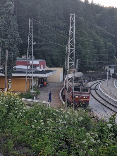 The image captures a train station in Krastets, Bulgaria, nestled amidst a dense forest. A red and silver train is stopped at the platform, its headlights on. Two individuals are present: one person in a blue shirt and trousers stands on the platform, while another person in an orange uniform is near a building. A dog is also visible on the platform. The station building features a red and white facade with a covered waiting area. Electrical poles and wires are prominent throughout the scene, indicating the presence of an electrified railway. Lush green vegetation, including trees and flowering plants, surrounds the station, with a curving railway track leading away from the platform. The overall ambiance suggests a quiet, rural train station in a forested environment.
