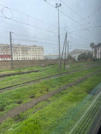 This image captures a view from alongside an electrified railway system under an overcast sky in Berrechid, Morocco. In the foreground, multiple parallel railway tracks are visible, stretching into the distance. The ground between and adjacent to the tracks is extensively covered with lush green vegetation.
To the left of the tracks, a network of overhead electrical lines and robust support poles for the railway's catenary system dominates the middle ground. One pole on the far left features a multi-directional signal or lighting fixture. Beyond the railway infrastructure, a tall, multi-story building, possibly an apartment complex, stands prominently. Its light-colored facade shows signs of age, with numerous windows and a distinct red section at its base. Further in the background, another large, light-colored industrial-style building, resembling a factory or warehouse, is partially visible. Several palm trees are scattered near this background building. A stone wall or embankment forms a barrier between the railway line and the urban structures, with a small white object, possibly a chair, placed on it.
The weather is cloudy, indicated by the uniformly grey and overcast sky, which casts diffused lighting over the entire scene. The time of day appears to be daytime, though without direct sunlight. There are no people visible, and no specific activities are taking place, presenting a tranquil, static landscape. No discernible text is present in the image.