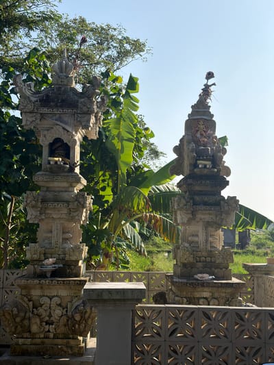 This image depicts two ornate stone shrines, typical of Balinese Hindu architecture, situated outdoors in Munggu, Indonesia. The scene is observed under a clear, bright blue sky.
In the foreground, a grey decorative concrete fence with repeating quatrefoil patterns runs horizontally, partially obscuring the lower portions of the shrines. A plain grey concrete pillar or low wall segment is visible on the right side of the fence.
The left shrine is a multi-tiered, light grey stone structure, featuring intricate carvings including scrollwork and stylized masks. It has an open, recessed niche at its upper section, containing several small, light-colored bowls or containers, possibly holding offerings. Weathering and some dark discoloration are present on its surfaces.
The right shrine, also multi-tiered and carved, is slightly shorter than the left. It features a prominent central niche containing a colored figure, possibly a deity, adorned with red and gold accents. Above this, a bundle of natural materials and a small, fan-like object are affixed to a vertical stick. Small, light-colored bowls are also present on a lower platform of this shrine. Weathering is evident on its stone surfaces.
Behind and around the shrines, lush green tropical vegetation is visible, dominated by large banana leaves and the canopy of a deciduous tree against the sky. In the mid-ground on the right, beyond the foliage, glimpses of what appear to be light green agricultural fields, possibly rice paddies, and distant structures are discernible. No individuals are present in the image.