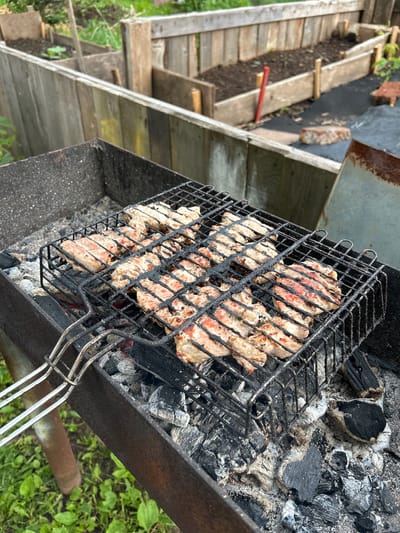 A barbecue grill filled with cooking meat sits outdoors on a grassy area. The grill is a black metal box with a wire grate holding several pieces of raw, seasoned meat, possibly chicken or pork. The meat shows visible grill marks and some pinkness, indicating it is in the early stages of cooking. Coals and ash are visible below the grate, with some embers glowing red. In the background, a wooden fence surrounds raised garden beds filled with dark soil. The overall setting suggests a casual outdoor meal preparation in a backyard or garden. The image does not contain any individuals or any contextual clues that would indicate the location as Азинский, Russia.