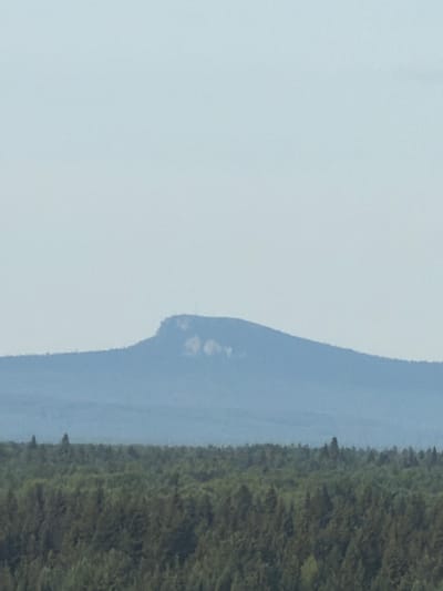 The image shows a hazy view of a flat-topped mountain range in the distance, with a dense forest in the foreground. The sky is a pale blue. The mountain has distinct formations on its crest, appearing as lighter colored outcrops against the darker slopes. The forest consists of numerous evergreen trees, with some appearing taller and more prominent than others. The overall scene suggests a natural landscape with a clear division between the forested middle ground and the mountainous background. The image is taken from a high vantage point, looking out over the forest towards the mountains.