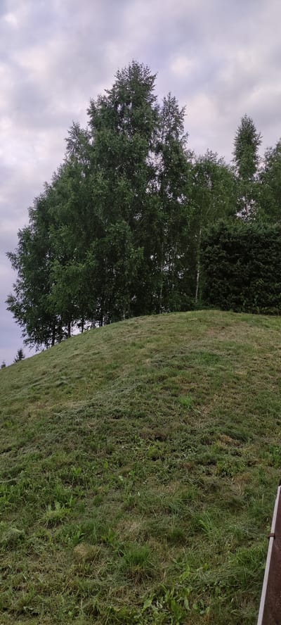 A slightly overcast, natural scene features a grassy mound in the foreground. The mound is covered in short, freshly cut grass with some longer blades and small weeds scattered throughout. Behind the mound, a line of trees forms the backdrop, with a dense, dark green evergreen bush on the right side of the frame. The trees are a mix of deciduous with light-colored bark, likely birch, and some taller, darker evergreens. The sky above is filled with gray, textured clouds. The image appears to be taken outdoors in a park or suburban area. The specific location is Росинка Кп, Russia. There are no people or animals visible in the image.