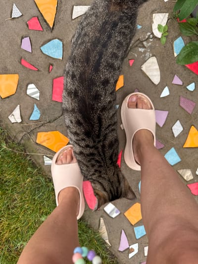 A close-up, top-down view shows a person's legs and feet wearing light pink slides. The person is standing on a mosaic pathway made of broken ceramic tiles in various colors including red, orange, blue, purple, and white, embedded in concrete. A grey and black tabby cat is lying on the pathway, its body curved between the person's legs, with its head obscured by the person's legs. Green grass is visible to the left of the pathway, and a few green leaves are growing out of the pathway on the right. The scene is outdoors, possibly in a garden or backyard. The location is identified as Michurinskoye, Russia.