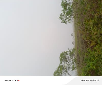 The image depicts a natural landscape scene in Nguroje, Nigeria, characterized by dense vegetation on a slope disappearing into a foggy or overcast sky. The foreground shows the bottom edge of the image with text overlay, "CAMON 20 Pro •" and "24mm f/1.7 1/169s ISO50". The main subject of the image is a hillside covered in lush green foliage, including trees and smaller plants. The fog or mist obscures the background and the upper portion of the scene, creating a soft, diffused light and a sense of depth. The vegetation appears wild and untamed, suggesting a rural or natural environment. There are no people or man-made structures visible in the scene. The perspective is from a slightly elevated position looking down the slope.