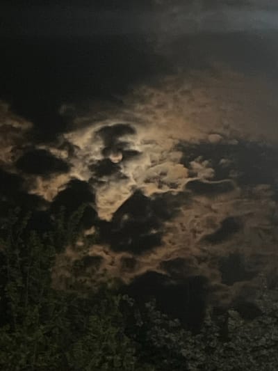This low-light image, likely taken at night or during deep twilight in Kribul, Bulgaria, features a dramatic sky dominated by dense, textured clouds. The clouds display a range of dark gray, brown, and illuminated beige or white tones, with light highlights suggesting an unseen light source, possibly the moon. They form intricate, swirling, and organic patterns across the sky, with areas of significant contrast between bright, voluminous sections and darker, more shadowed parts.

On the right side of the frame, dark, leafy tree foliage is visible, appearing as dense branches and leaves silhouetted against the clouded sky. These trees partially obscure the view, indicating an outdoor, natural setting. The varying crops emphasize different aspects: some highlight the abstract, almost sculptural forms within the brightly illuminated cloud masses, revealing their intricate textures, while others focus on the dark, complex patterns of the tree canopy against the sky.

No people, specific objects, or discernible activities are depicted, focusing instead on the atmospheric conditions. The scene evokes a sense of mystery and natural drama due to the high contrast, low-light conditions, and the powerful, abstract shapes of the clouds. No text is visible in the media file.