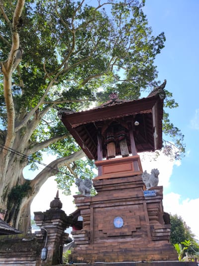 The image shows a Balinese traditional structure called a Bale KulKul, located in Tua, Indonesia. The Bale KulKul is constructed of reddish-brown bricks and has a tiered base with a wooden pavilion-like structure on top. Two statues of mythical creatures with bird-like features are positioned on the sides of the tower. The pavilion contains two large wooden drums used for communication. A large banyan tree with extensive branches and foliage fills the background. The sky is blue with some clouds.