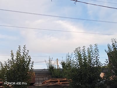 This is a landscape image taken outdoors. The scene features several trees with lush green foliage in the foreground and mid-ground. Behind the trees, there are structures that appear to be industrial or storage buildings, including corrugated metal roofs and a stack of wooden pallets. Power lines stretch across the sky, which is a light blue with scattered white clouds, suggesting it is daytime, likely late afternoon or early morning due to the soft lighting. The setting seems to be in a rural or semi-industrial area. There are no people visible in the image. The overall mood is calm and observational.
Visible text in the image reads "HONOR 400 Pro" in the lower left corner, indicating the device used to capture the photo.