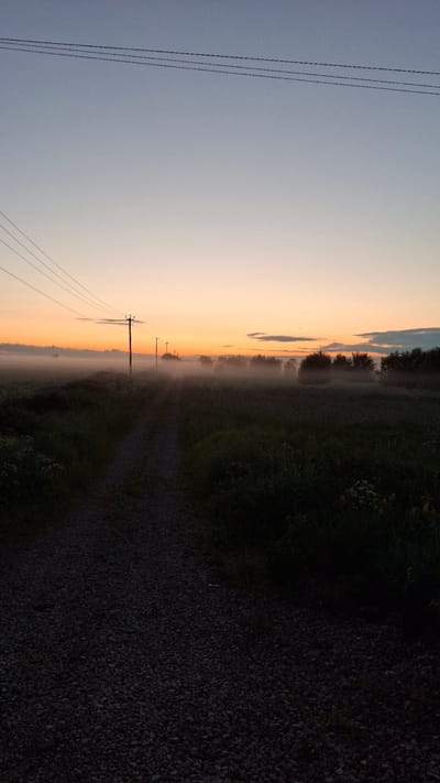 A dirt road cuts through a field at dusk, with low-lying fog obscuring the horizon. Several utility poles with wires run parallel to the road, disappearing into the mist. The sky is a gradient of pale blue to a warm orange near the horizon, indicating either sunrise or sunset. The vegetation in the field is dark and appears somewhat dense, with the foreground gravelly and indistinct due to the low light conditions. There are no people or animals visible in the scene. The location is identified as Timmolovo, Russia.