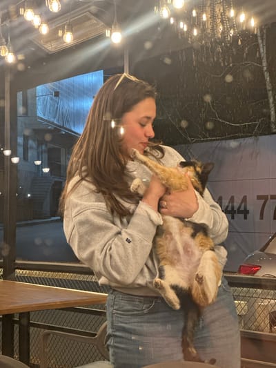 A woman with long brown hair wearing a gray sweatshirt and jeans holds a calico cat in her arms, belly up, as if kissing it. The scene is captured through a window reflecting outdoor lights, suggesting an indoor location. The background hints at an urban setting, possibly Tsakhkadzor, Armenia, with visible buildings and streetlights. Other elements include what appear to be interior design features, like metal mesh and wooden elements suggesting a restaurant or cafe setting.