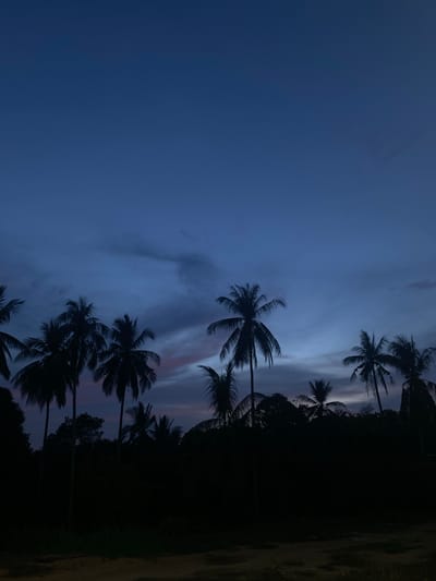 The image depicts a dusk or dawn scene in Tanjongkapai, Indonesia. Silhouetted palm trees are visible against a sky that transitions from a deep blue to lighter hues with hints of pink and grey. The right side of the image shows a dark, indistinct land mass. No people or specific activities are apparent.
