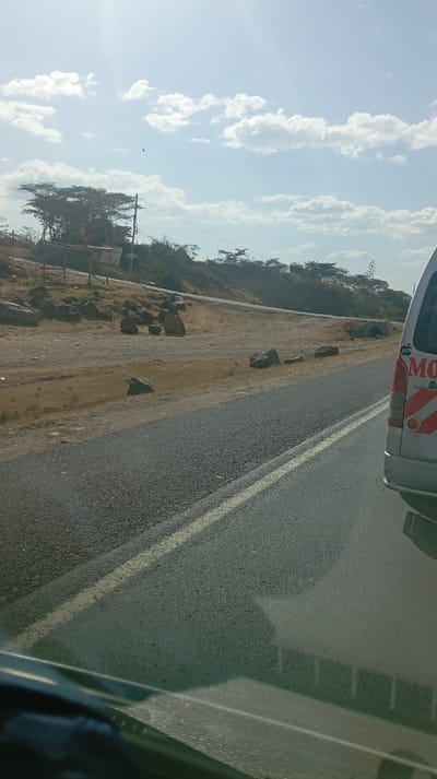 A roadside view captures a stretch of asphalt alongside a dry, rocky terrain. Sparse vegetation and scattered boulders dot the landscape. A distant line of trees marks the horizon under a bright sky with scattered clouds. A portion of a vehicle, identified by the word "MOJO," is visible on the right edge, suggesting a view from another vehicle.