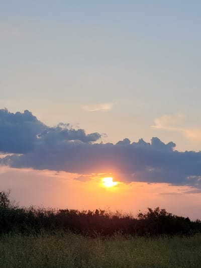 The image captures a sunset over a rural landscape, likely on the outskirts of Konstantinovka, Moldova. The sky transitions from a pale blue at the top to hues of orange and pink closer to the horizon, a result of the setting sun. Several dark, dramatic clouds are silhouetted against the colorful sky, with the sun itself peeking through a gap in the clouds, casting a bright glow. Below the sky, a dense line of trees and bushes forms a dark band across the middle ground. In the foreground, a field of green grass and wildflowers stretches out, with hints of yellow blossoms visible. The scene is devoid of any human presence or activity.