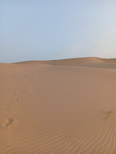 The image presents a vast and serene desert landscape characterized by rolling sand dunes under a clear, light blue sky. The primary subjects are the expansive sand formations, displaying subtle undulations and intricate ripple patterns caused by wind, especially visible in the foreground and midground. A distinct trail of human footprints stretches from the lower left corner, diagonally across the foreground and into the middle distance, indicating recent passage. No individuals are visible.
The setting is an arid environment, likely a desert or a coastal dune area, consistent with the provided location context of Phuoc Dinh, Vietnam. Sparse tufts of green desert grass are visible in the lower right corner, providing a small contrast to the predominant sandy tones. The sky is largely cloudless, suggesting clear weather. The soft, gentle light, along with the warm golden-brown hue of the sand, suggests either early morning or late afternoon, creating a tranquil and quiet atmosphere. There is no visible text in the media file.