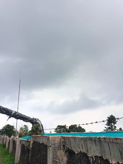 This image depicts an outdoor scene in Koipa, Papua New Guinea, characterized by an overcast, light grey sky that occupies the upper two-thirds of the frame. A weathered concrete wall, approximately 1.5 meters high, runs horizontally across the lower middle section of the image from left to right, showing textured dark and light grey patches. On the far left, a strip of green ground-level vegetation is visible at the wall's base. Extending diagonally upward from the left edge over the wall is a dark-colored, cylindrical pipe or conduit, appearing wrapped in a black material, with some green foliage intertwined around it. Behind this pipe, a tall, slender, dark-colored pole or antenna rises vertically into the sky. A single strand of barbed wire stretches horizontally above the wall, from the center-right to the right edge. Directly behind the wall and to the right of center, a section of a bright blue-green roof or tarp is visible. In the background, above the wall and roof, green treetops are visible, notably a tall coniferous tree on the far right. No individuals or active subjects are present.