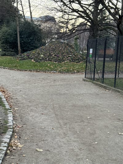 A park path curves alongside a bed of flowers and grass, edged by a low stone border. A tall, leafless tree with twisting branches is visible on the left. A dark fence with a small sign runs parallel to the path. In the distance, behind the trees, a building with a rounded roof can be seen. The path is covered in small fallen leaves.