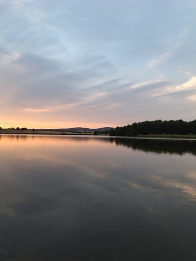 The image captures a serene sunset scene over a body of water, likely a pond or lake, in Kestřany, Czechia. The sky is a canvas of soft pastels, with hues of pale pink and orange blending into a light blue, streaked with wispy clouds. The horizon is marked by a line of trees and rolling hills, illuminated by the fading sunlight. The water's surface is calm and reflective, mirroring the colors of the sky and the dark silhouette of the treeline along the far bank. In the foreground, concentric ripples disturb the otherwise still water, suggesting a recent event, perhaps a small object falling in or a fish breaking the surface. The overall impression is one of peaceful twilight.