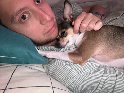 A close-up, horizontal, eye-level shot shows a person and a small dog lying down together on a bed. The person's face is on the left, looking directly at the camera with a relaxed expression. They have brown eyes and short dark hair. A hand rests on the dog's head, gently stroking it.
The dog, a small chihuahua mix with tan and white fur, is nestled against the person. Its eyes are closed, and it appears to be sleeping or resting comfortably. The dog's head is turned slightly away from the camera, and its body is curled up.
The subjects are lying on a bed with striped green and white bedding. A teal pillow is visible on the left side of the frame, behind the person's head. The overall mood of the image is one of intimacy and comfort. The lighting suggests it could be nighttime or a dimly lit room. There is no visible text in the image.